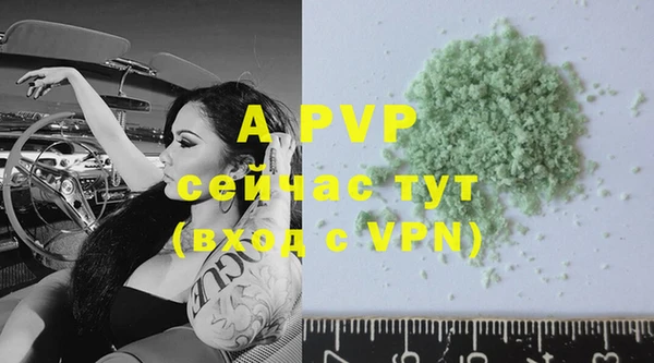 винт Абаза