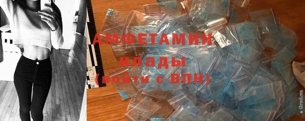 винт Абаза
