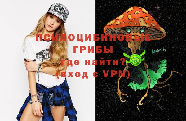 прущие грибы Абдулино