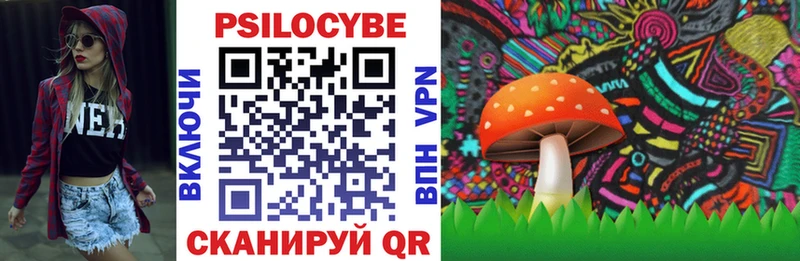 Галлюциногенные грибы MAGIC MUSHROOMS где найти Бобров